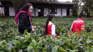 Italian Julia Yunnan Tea Culture Tour to Lincang4