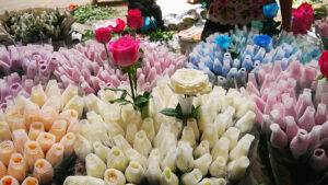 Jingxing Flowers and Birds Market in Kunming (1)