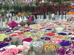 Jingxing Flowers and Birds Market in Kunming (10)