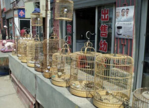 Jingxing Flowers and Birds Market in Kunming (4)