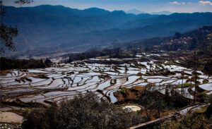 Qingkou-Hani-Rice-Terraces-in-Yuanyang-County-Honghe-05