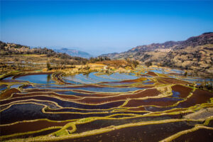 Qingkou-Hani-Rice-Terraces-in-Yuanyang-County-Honghe-11