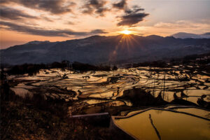 Qingkou-Hani-Rice-Terraces-in-Yuanyang-County-Honghe-12