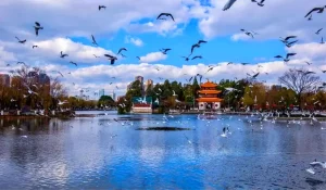 The Green Lake Park, Kunming (10)