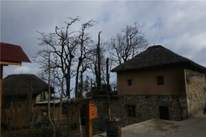 Travel-to-Azheke-Village-and-Azheke-Rice-Terraces-in-Yuanyang-County-15