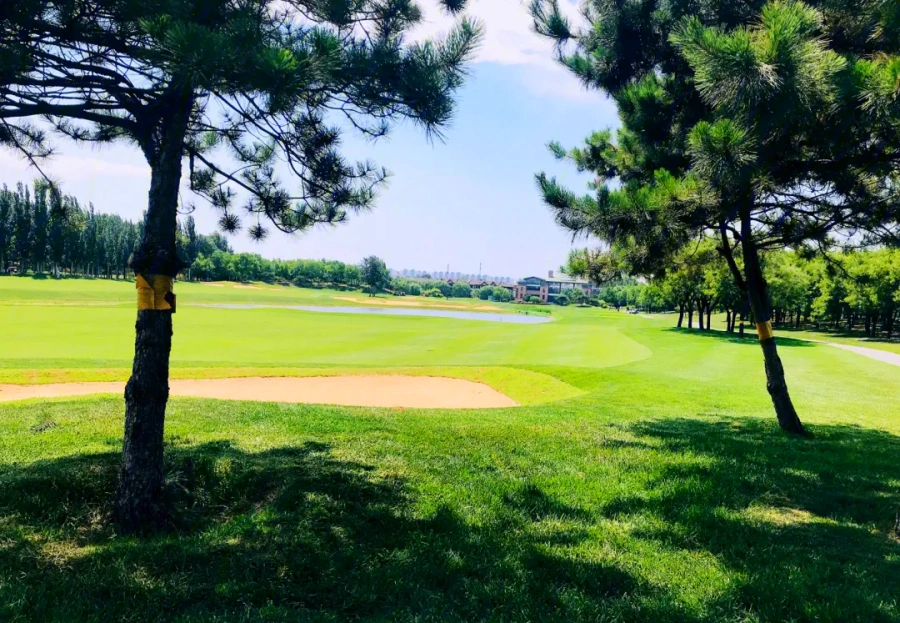 Beijing CBD International Golf Club (11)