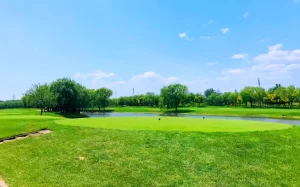 Beijing CBD International Golf Club (12)