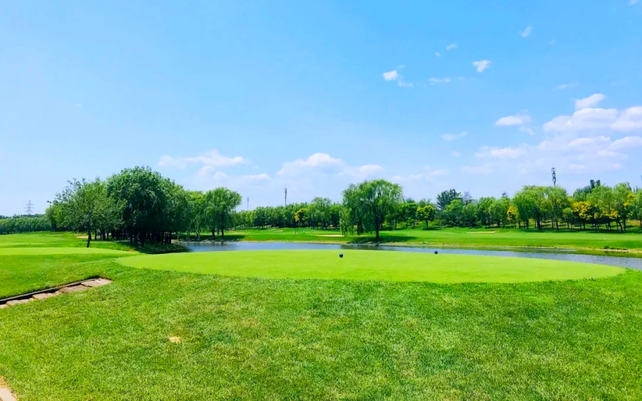 Beijing CBD International Golf Club (12)