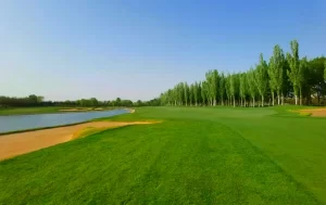 Beijing CBD International Golf Club (7)