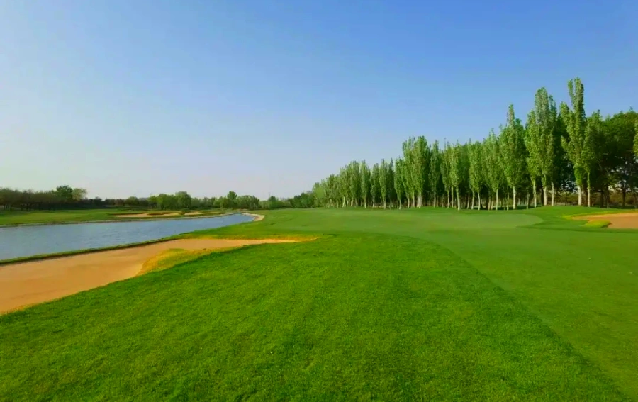 Beijing CBD International Golf Club (7)