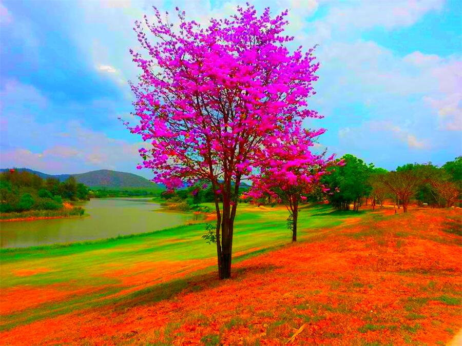 Blue Sapphire Golf and Resort in Kanchanaburi, Thailand (2)