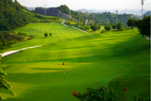 Chongqing Fortune Riverview Golf Club (5)