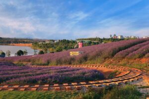 Dongfengyun Art Town Sceneic Area in Mile City, Honghe (26)