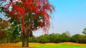 Dragon Hills Golf & Country Club in Ratchaburi, Thailand (13)