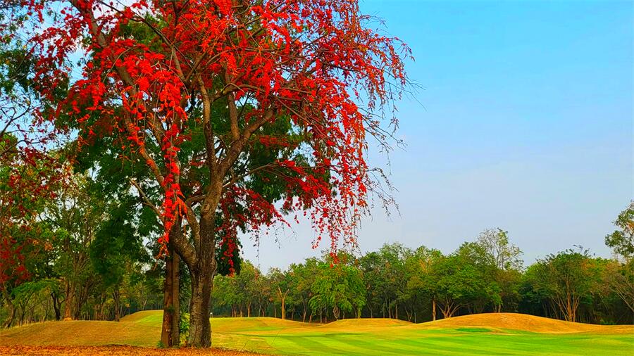 Dragon Hills Golf & Country Club in Ratchaburi, Thailand (13)