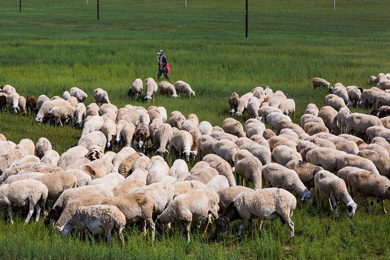 24 Days Mongolia-China-Laos Self-Driving Tour from Inner Mongolia Erenhot to Yunnan Mohan