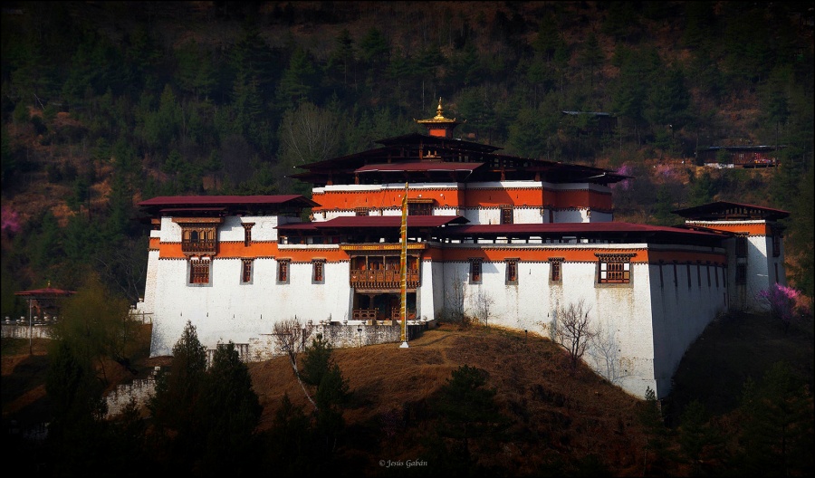 Simtokha Dzong in Thimphu, Bhutan3