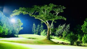 The Dalat at 1200 Golf Club in Lam Dong, Vietnam (15)