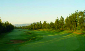 Trans Strait Golf Club in Fuzhou, Fujian (6)