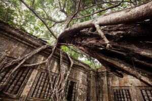 Beng Mealea Temple in Siem Reap, Cambodia (10)