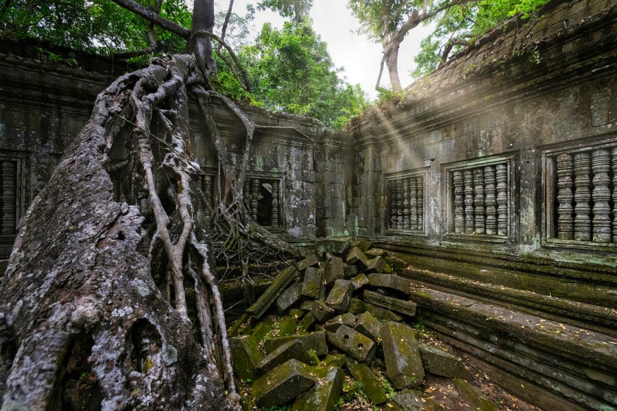 Beng Mealea Temple in Siem Reap, Cambodia (11)