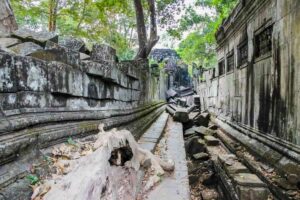 Beng Mealea Temple in Siem Reap, Cambodia (17)