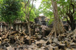 Beng Mealea Temple in Siem Reap, Cambodia (18)