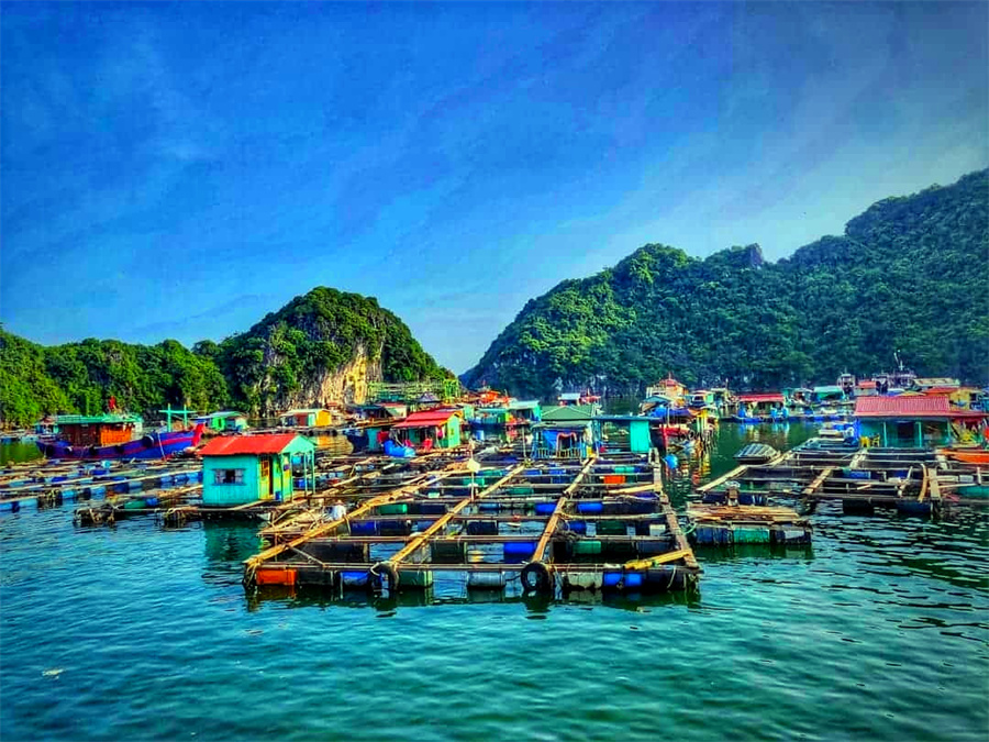 Cua Van Floating Village in Ha Long Bay (2)