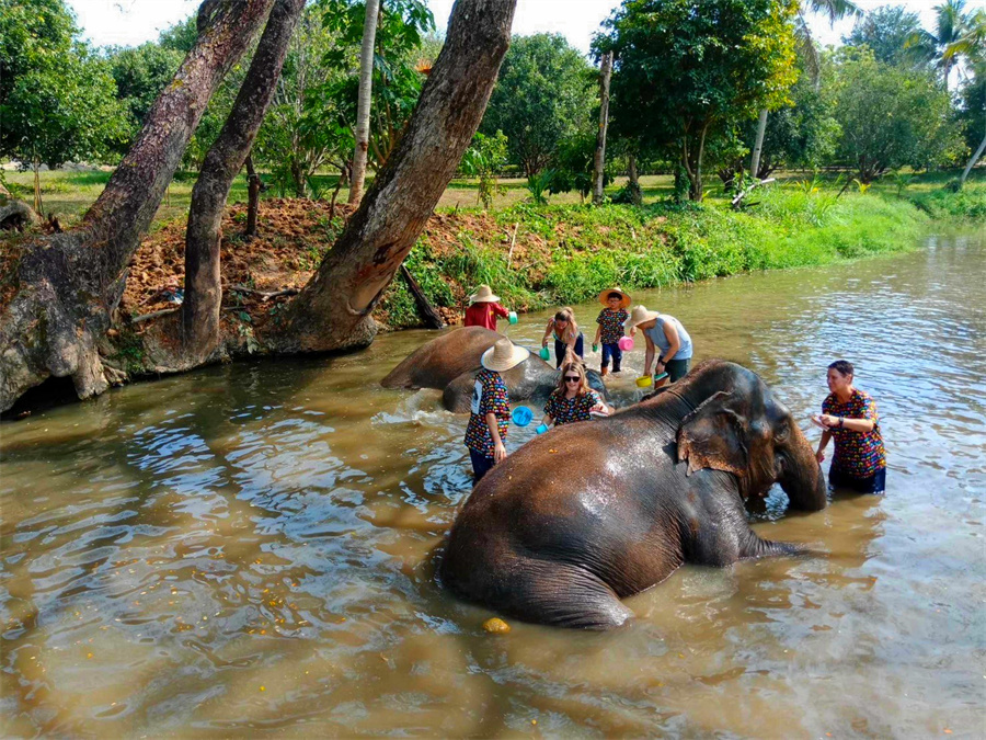 Kanta Elephant Sanctuary in Chiang Mai, Thailand (10)