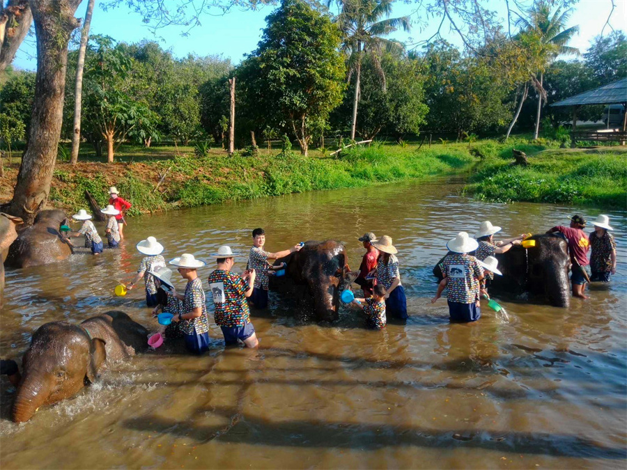 Kanta Elephant Sanctuary in Chiang Mai, Thailand (3)