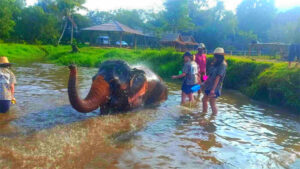 Kanta Elephant Sanctuary in Chiang Mai, Thailand (9)