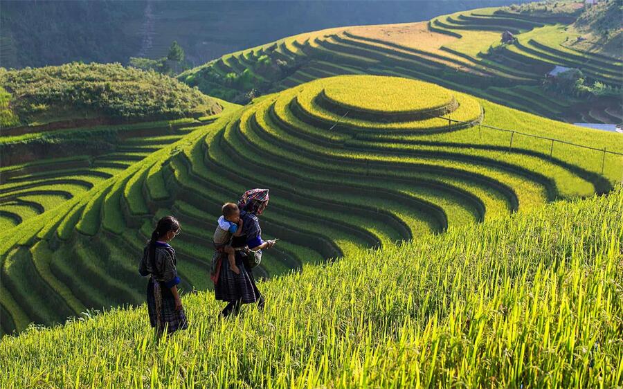 10 Days Northern Vietnam Sapa Trekking Tour with Halong bay Cruise