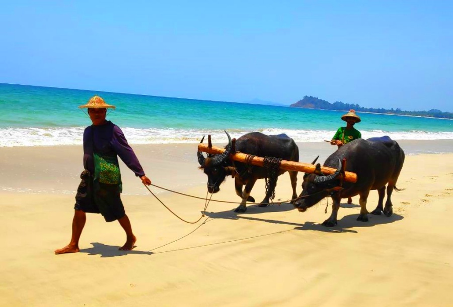 Ngapali Beach in Rakhine State, Myanmar (5)