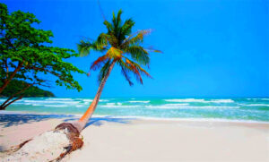 Phu Quoc Island in Vietnam (13)
