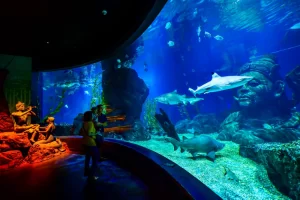 Sea Life Bangkok Ocean World in Bangkok, Thailand (2)