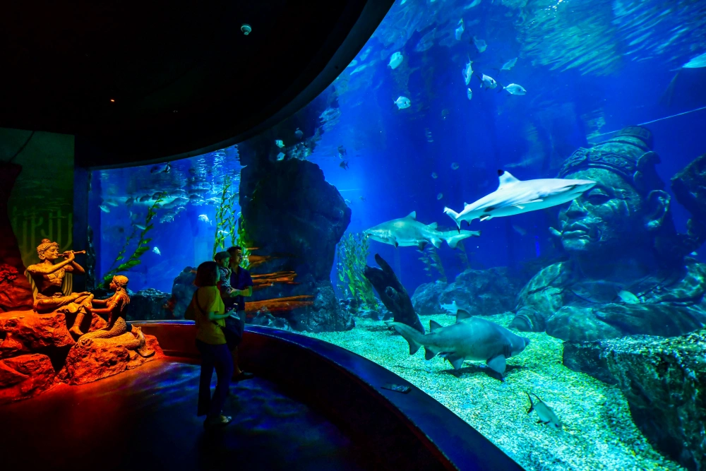 Sea Life Bangkok Ocean World in Bangkok, Thailand (2)