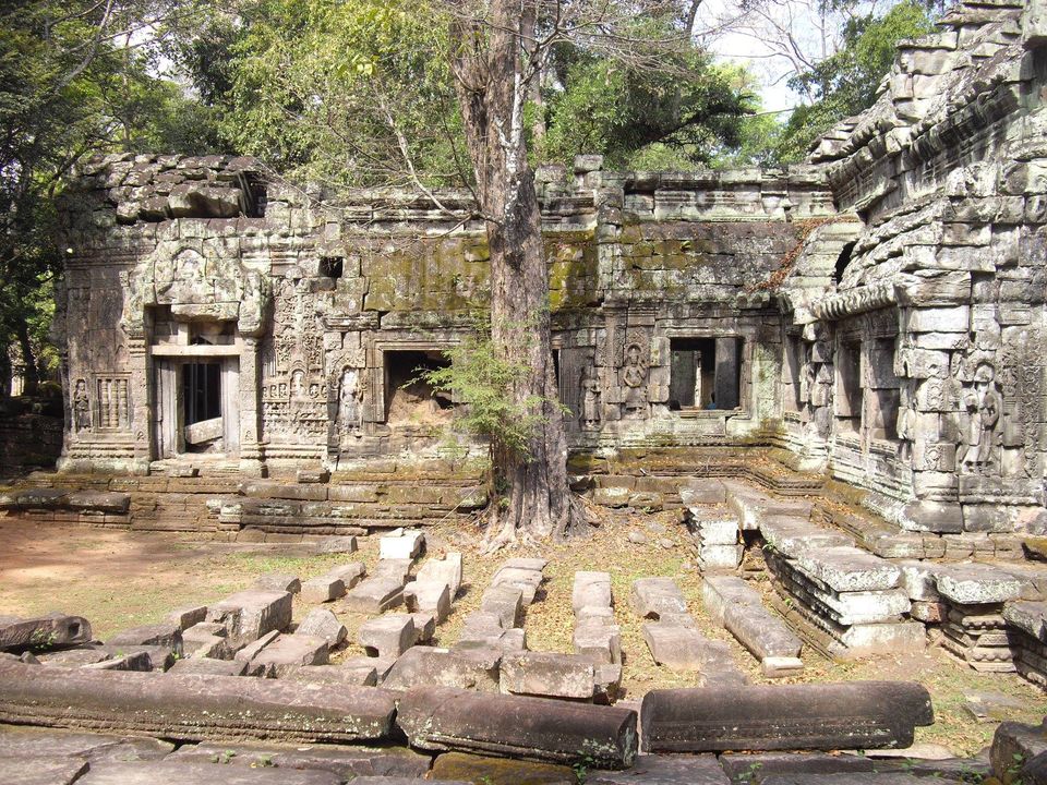 Ta Prohm Temple in Siem Reap, Cambodia (11)