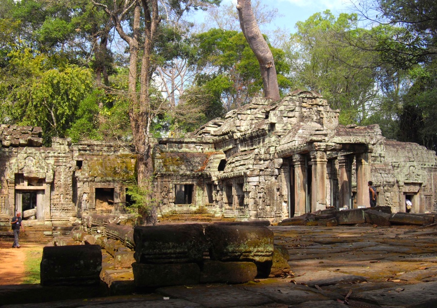 Ta Prohm Temple in Siem Reap, Cambodia (6)
