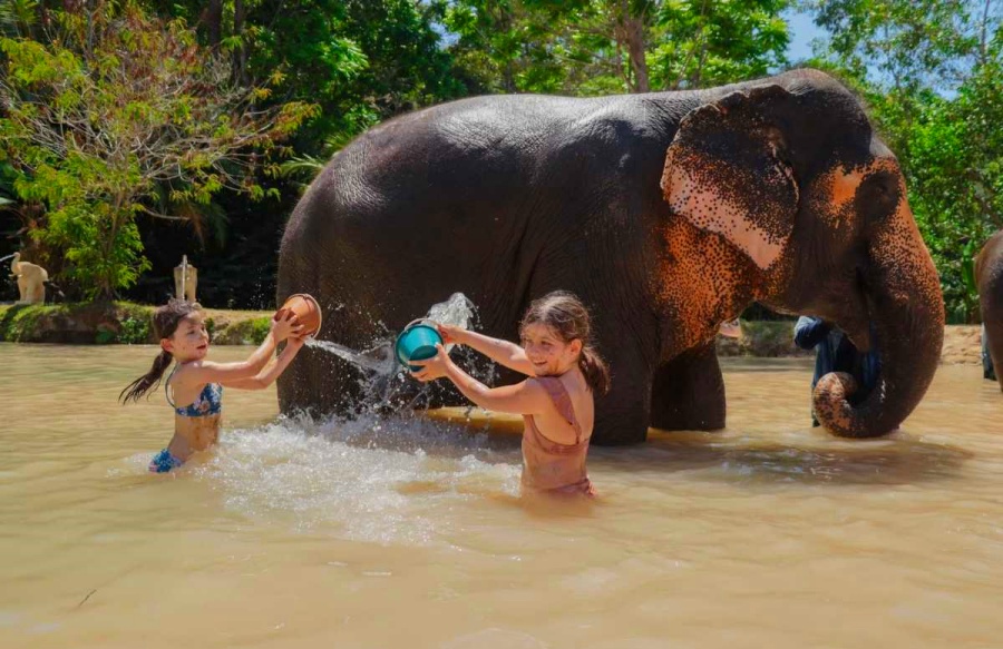 The Green Elephant Sanctuary Park in Phuket, Thailand