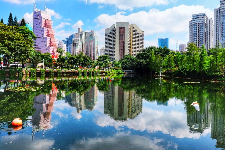 Lizhi (Lychee) Park in Shenzhen (1)