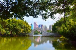 Lizhi (Lychee) Park in Shenzhen (12)