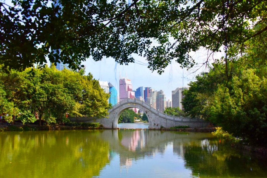 Lizhi (Lychee) Park in Shenzhen (12)