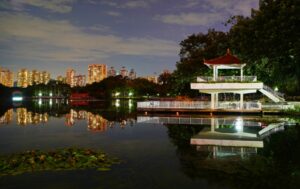 Lizhi (Lychee) Park in Shenzhen (2)