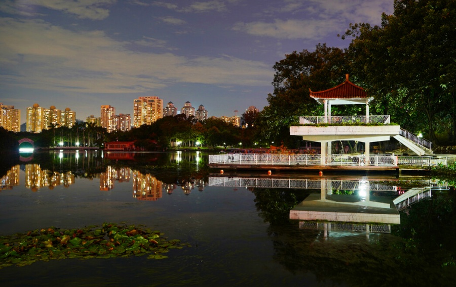 Lizhi (Lychee) Park in Shenzhen (2)