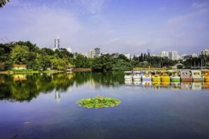 Lizhi (Lychee) Park in Shenzhen (6)