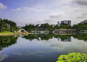 Lizhi (Lychee) Park in Shenzhen (8)