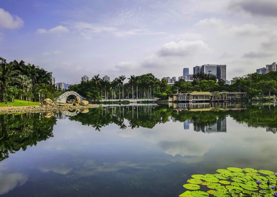 Lizhi (Lychee) Park in Shenzhen (8)